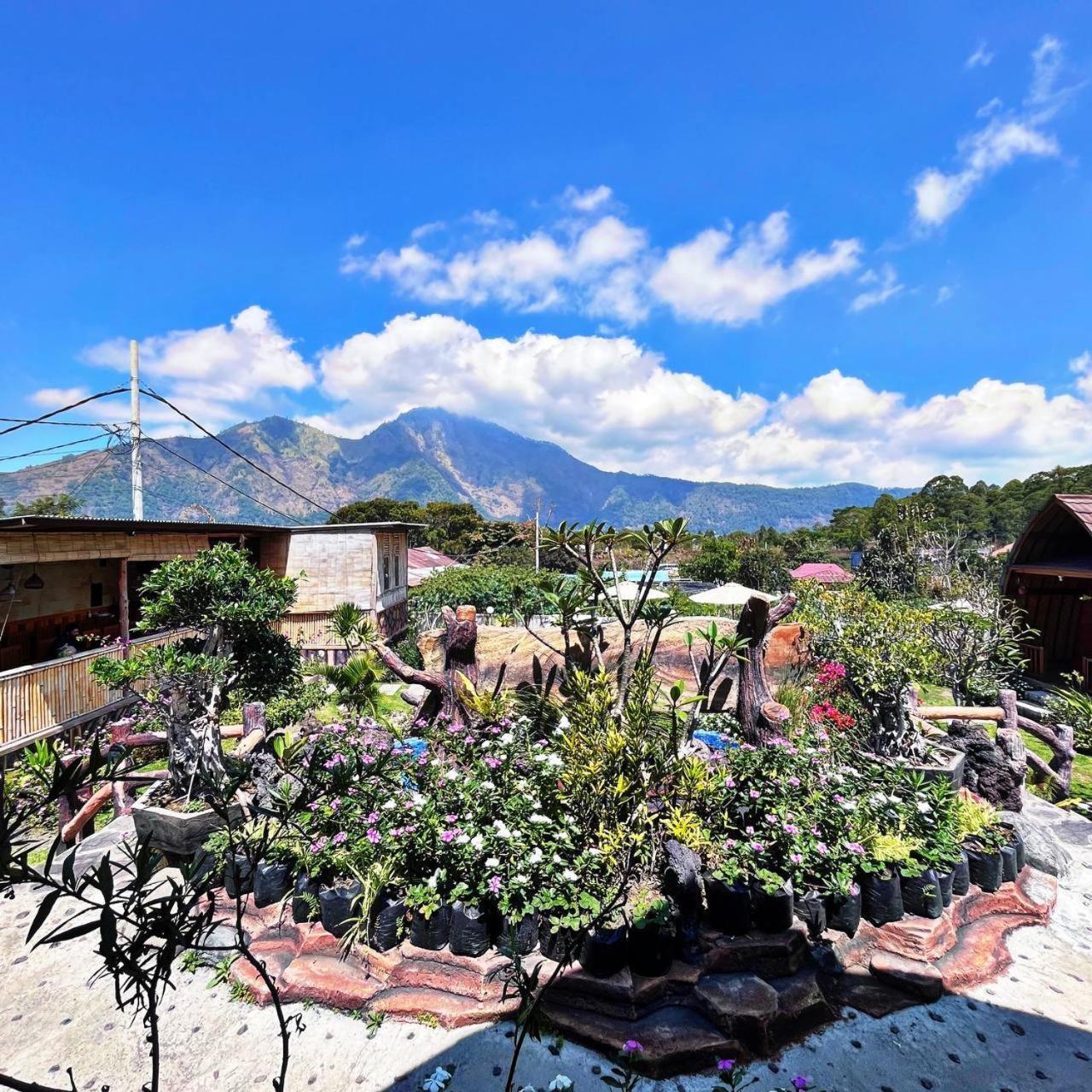 Manik Tirta Cabin'S Kintamani  Екстер'єр фото